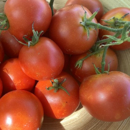 Snímek obrazovky 2026 01 08 v 11.42.36