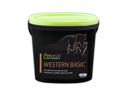 PWesternBasic