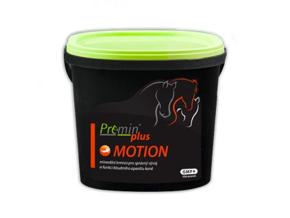 PPlusMotion