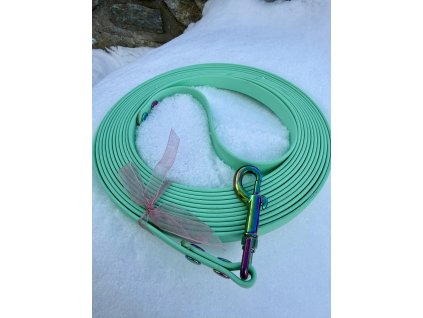 2cae0ddd 5ae8 4f91 b879 f619be348abe