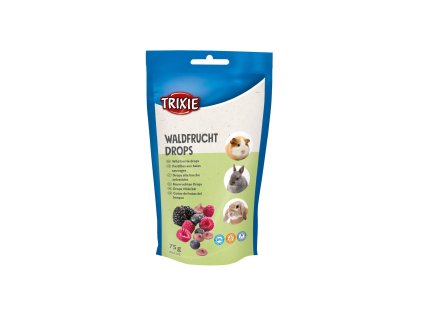 dropsy s lesního ovoce 01