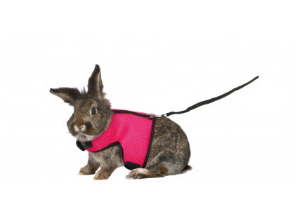 Postroj VESTA s vodítkem pro velkého králíka 25 40cm 1,20m 01