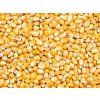 Kukurica žltá – celé zrno, 25 kg