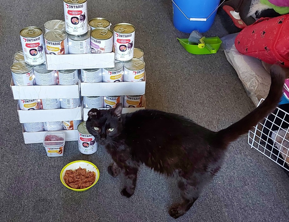 Dary vybrané během KVĚTNA doručené v červnu