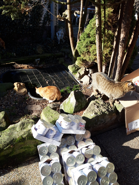 Dary vybrané během BŘEZNA 2023 a doručené v DUBNU