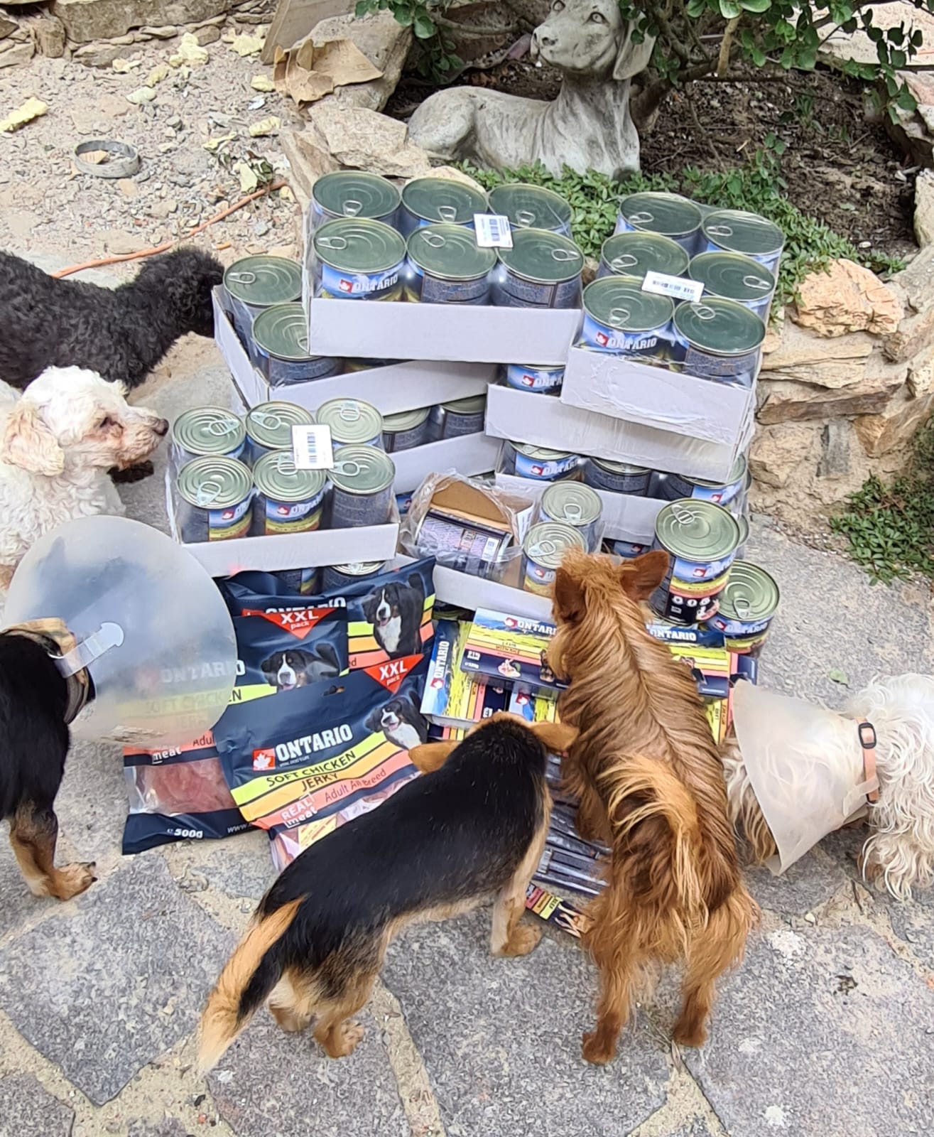 Dary vybrané během srpna a doručené během září