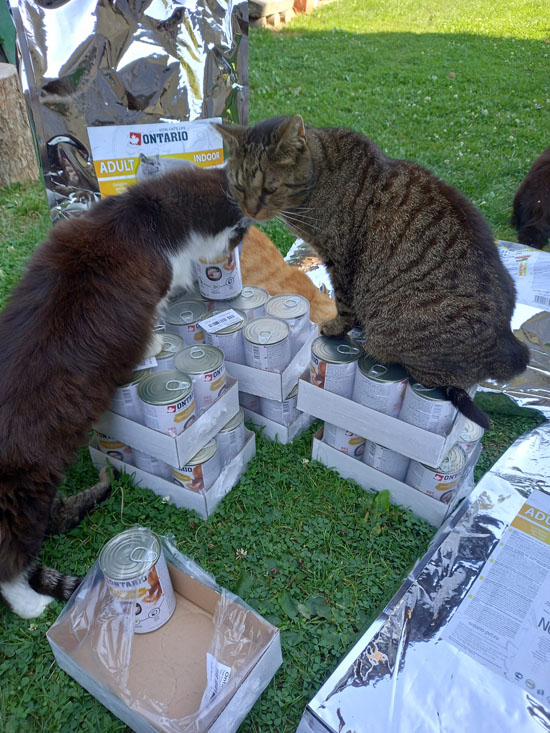 Dary vybrané během ČERVENCE a poslané během SRPNA