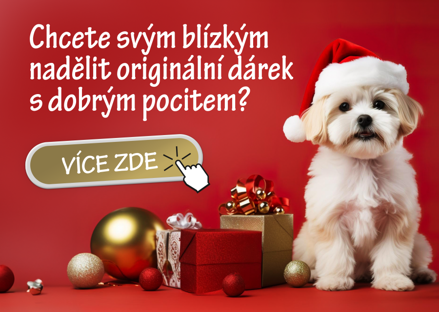 vánoční certifikát