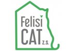 Felisicat