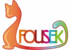 Fousek