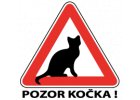 Pozor kočka!