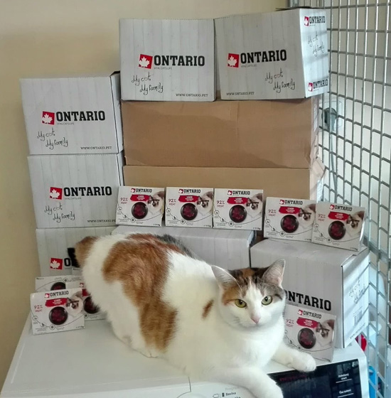 mikeš