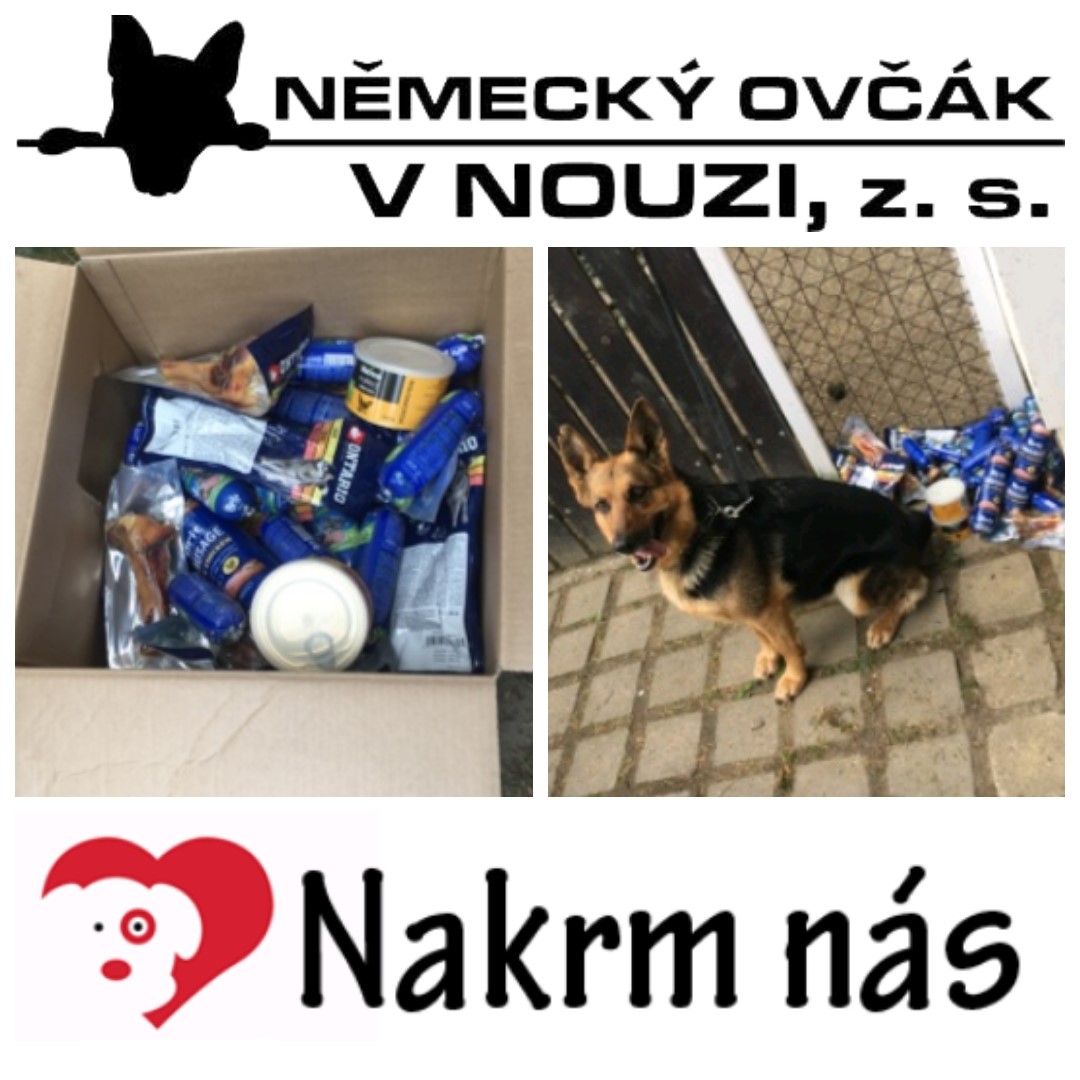 nemeckyovcakvnouzi
