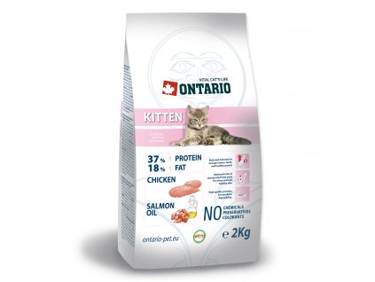 ONTARIO Kitten