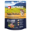 ONTARIO Puppy Medium Lamb & Rice
