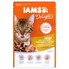 Kapsička IAMS Cat Delights Chicken & Turkey in Gravy