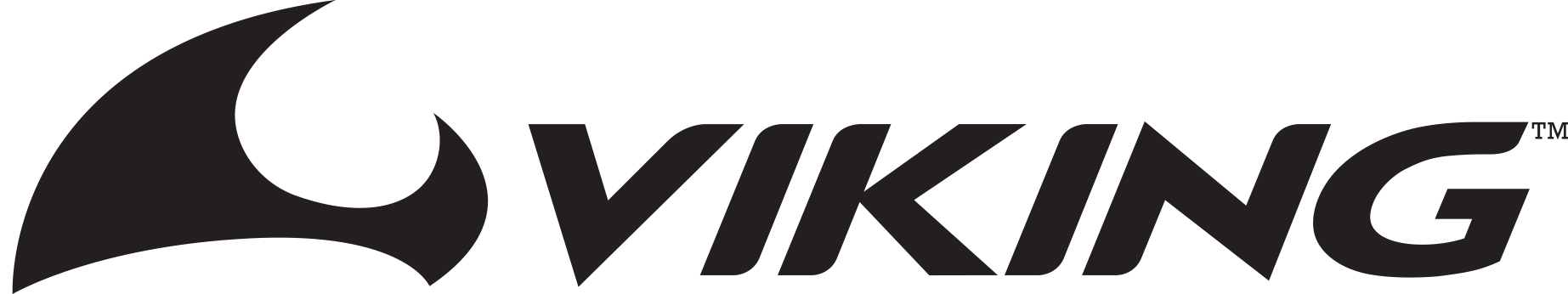 Logo VIKING