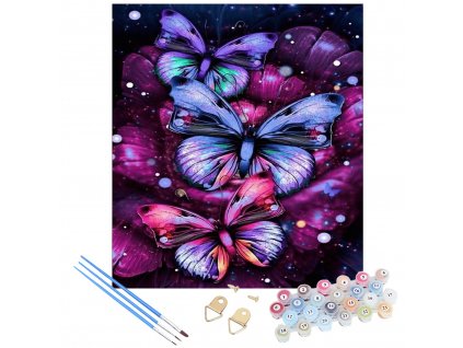 Malování podle čísel 30x40cm - Motýli