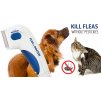 doctor flea kill fleas without pesticides