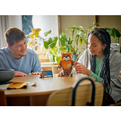 75430 LEGO® Star Wars™ Ewok Wicket™ 75430 5702017824611