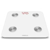 UB605 UMAX Smart Scale US20M UB605 8595142717302