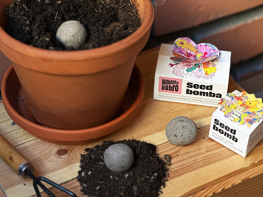 Jaro volá: Ideální čas na sázení Dobra 🌼