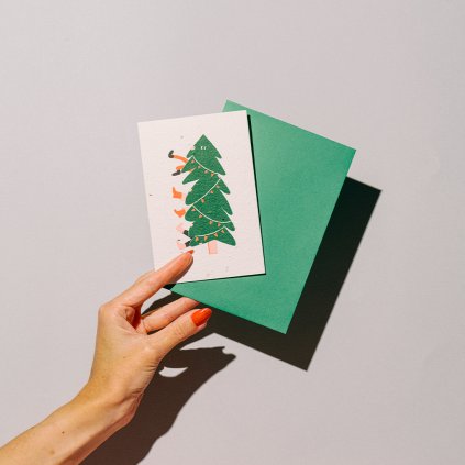 Rostoucí přání plné semínek vánoční