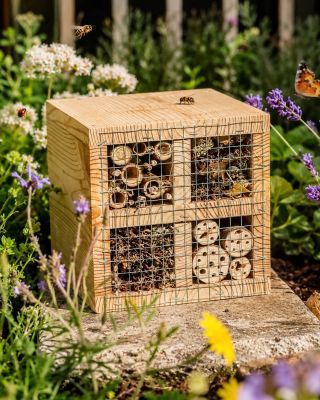 Dnes slavíme Mezinárodní den biologické rozmanitosti 🌼🐝 Svět kolem nás tvoří tisíce malých detailů — včely mezi květy,...
