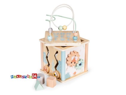 Dřevěné vzdělávací kostky ECOTOYS