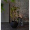 411077 ambient