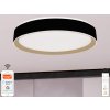Stropní svítidlo LED OPAL s dálkovým ovladačem 48W, Wi-Fi, 2700-6500K, 3400lm, černá/zlatá