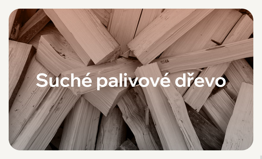 Suché dřevo