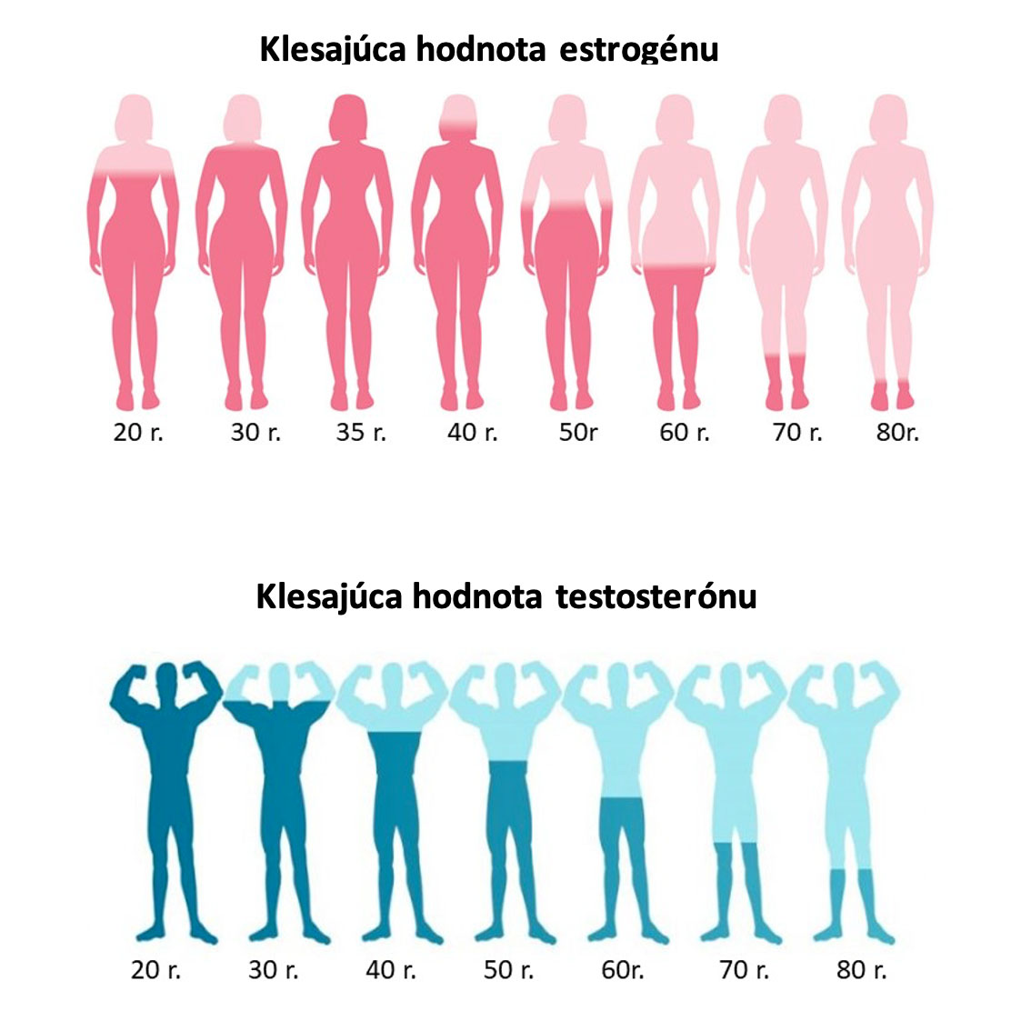 Špecifiká hormonálnej regulácie u mužov a žien v strednom veku​