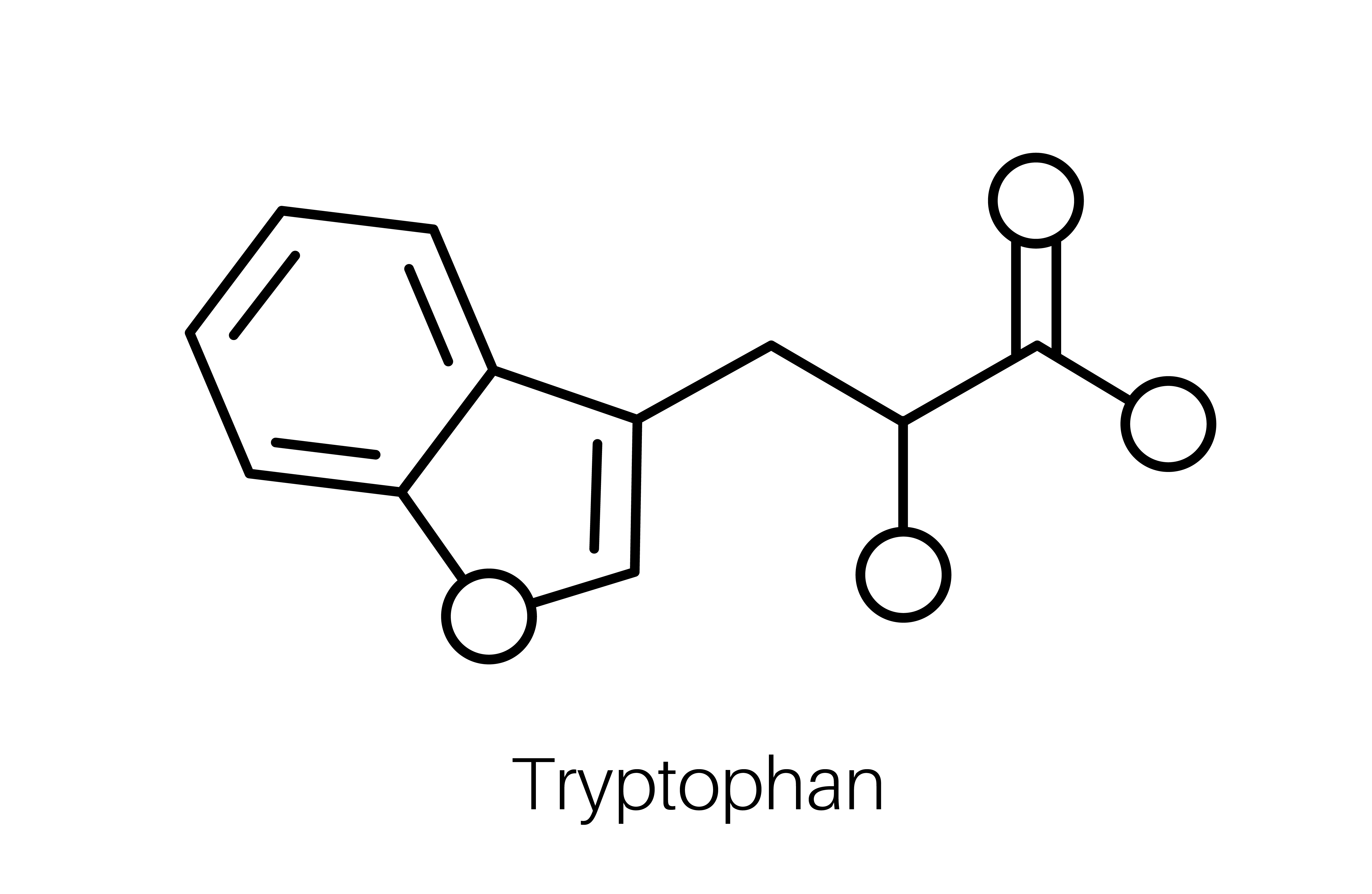 L-tryptofán - dávkovanie pre maximálne využitie tejto úžasnej látky