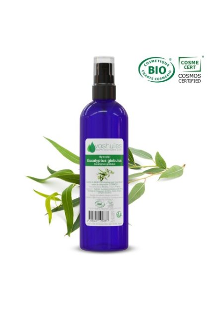hydrolat d eucalyptus globulus