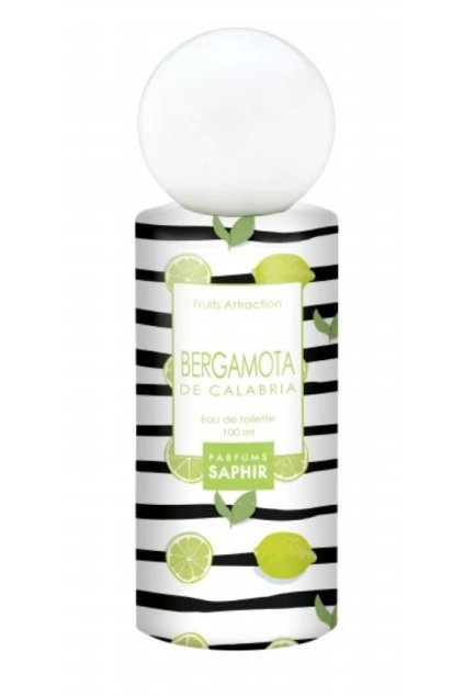 Screenshot 2025 12 31 at 8.31.56 AM