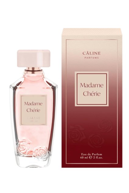 Screenshot 2025 01 22 at 2.24.55 PM