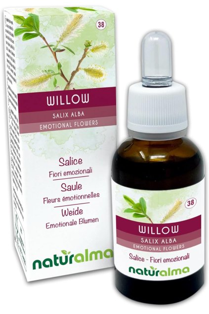 71rViWjOmjL. AC SL1500