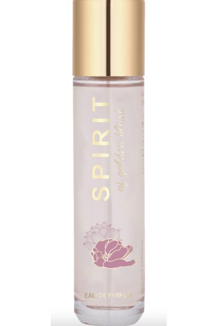 Screenshot 2026 02 27 at 1.37.04 PM