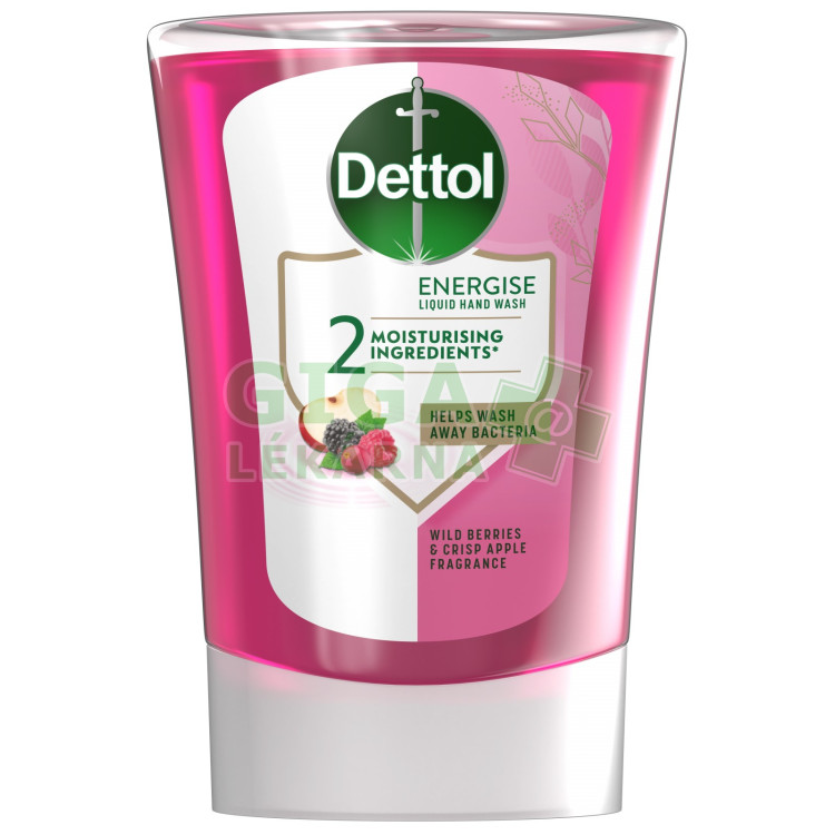 DETTOL Náplň do bezdotykového dávkovača Lesného ovocia 250ml