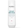 Goldwell Scalp Specialist Anti Dandruff Shampoo 250ml 1
