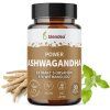 blendea ashwagandha extract 30 capsules