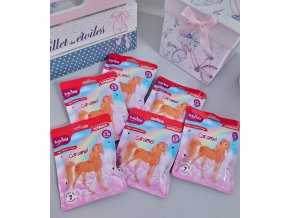 465539058 10212687161010241 8891023073335783537 n