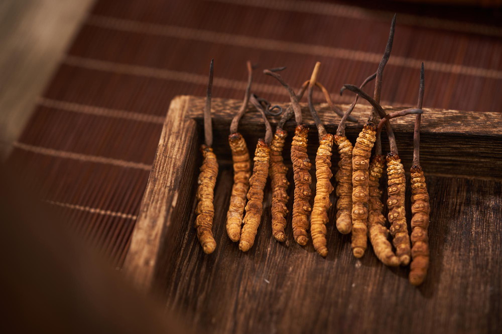 Nejlepší Cordyceps - jak můžete posoudit kvalitu doplňku stravy Cordyceps?