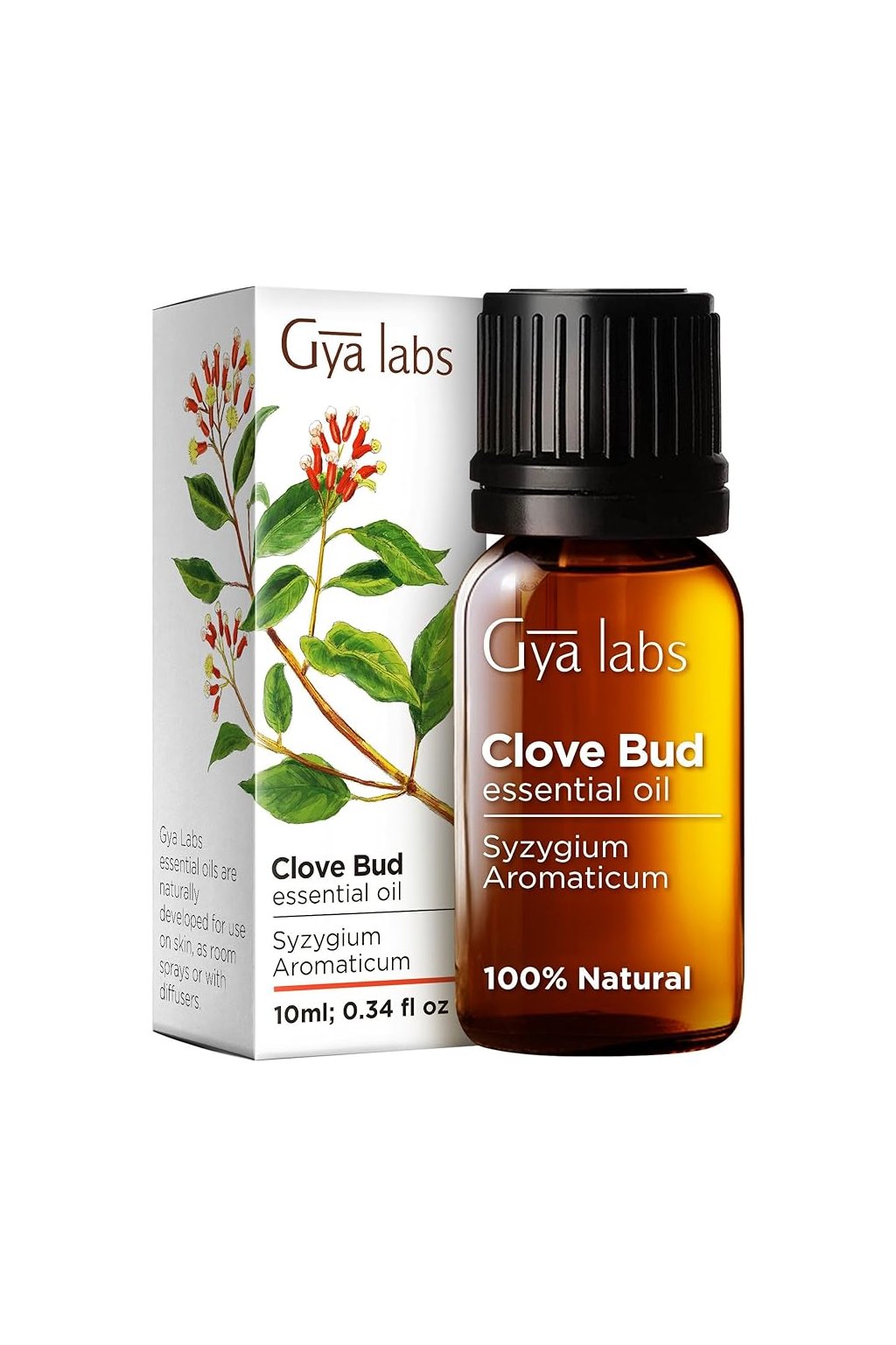 PHOTO 2023 12 11 19 56 43