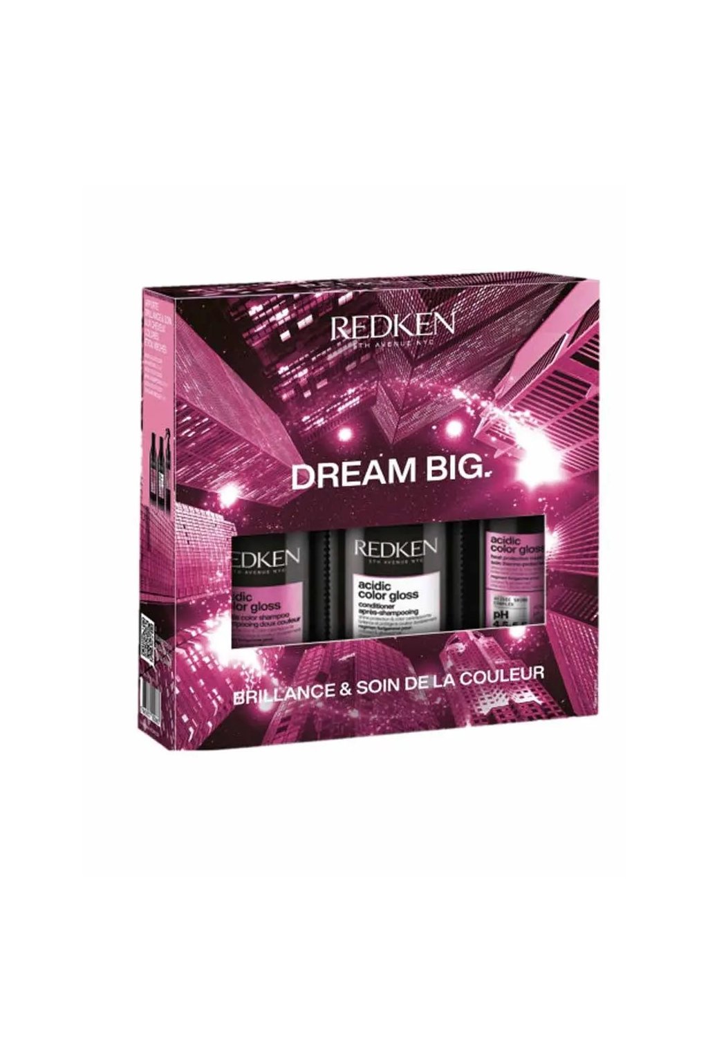 REDKEN DREAM BIG Acidic Color Gloss Shine & Color Care Set