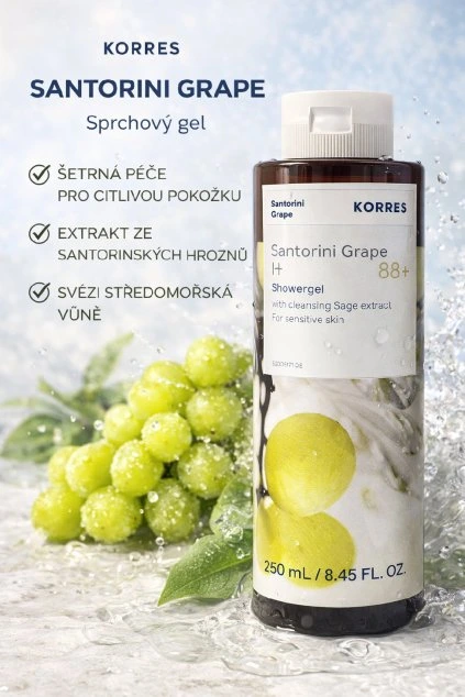 ChatGPT Image 24. 3. 2026, 22 08 31