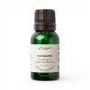 Dr. Feelgood Cinnamon Organic, 15ml