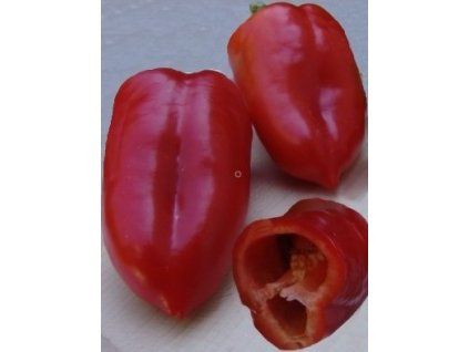 paprika rubinova