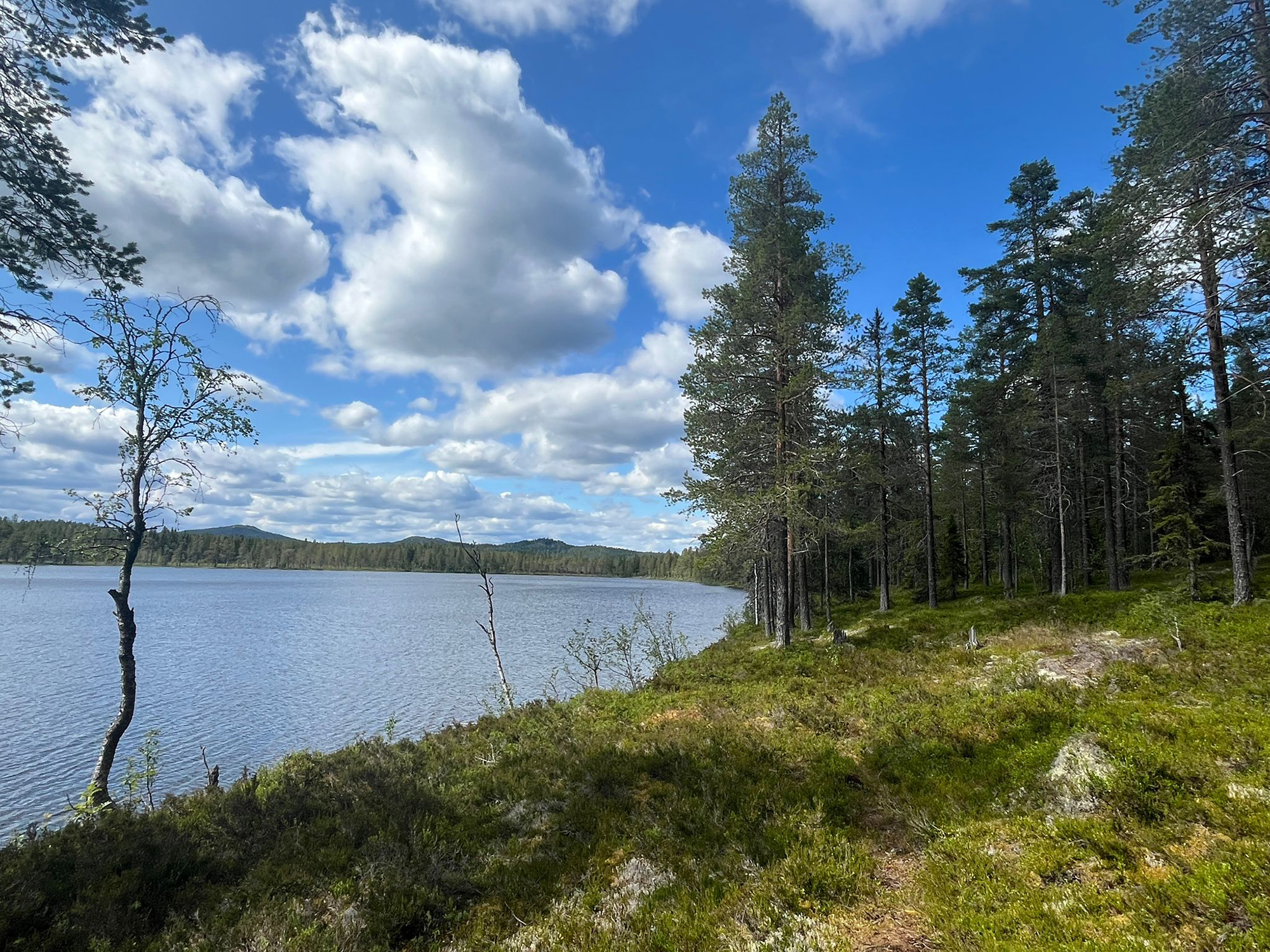 cesta svatého Olafa — Østerdalsleden